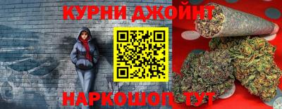 дмт Бийск