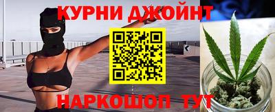 дмт Бийск