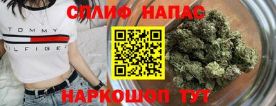 дмт Бийск