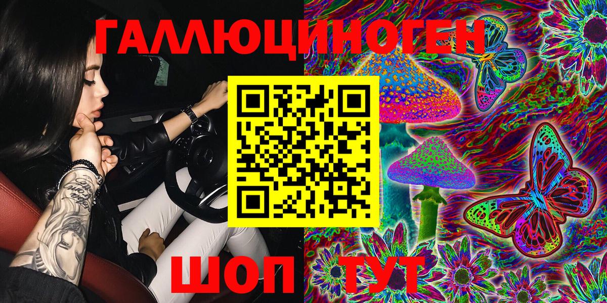 Псилоцибиновые грибы MAGIC MUSHROOMS  Псилоцибиновые грибы MAGIC MUSHROOMS  Вход с VPN  Ачхой-Мартан 