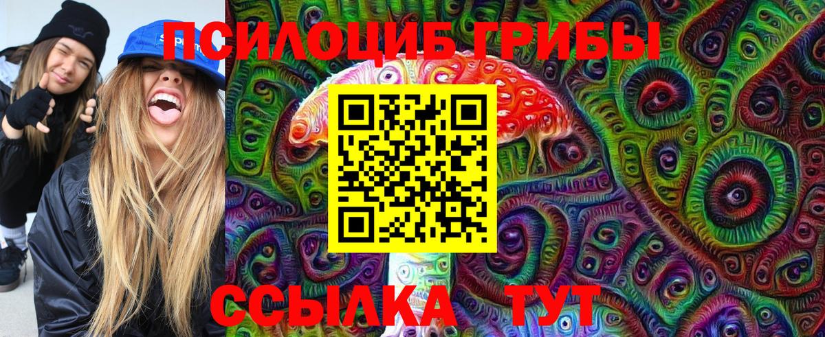 Псилоцибиновые грибы мицелий Ачхой-Мартан
