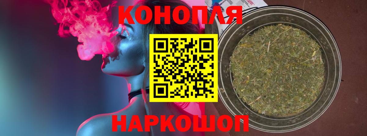 Ачхой-Мартан  Канабис OG Kush  Вход с VPN  Марихуана семена 